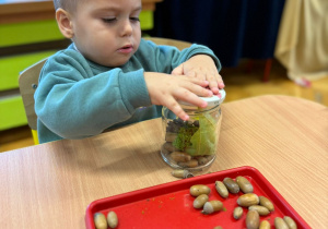 „Dotykam, słucham, czuję – jesień”