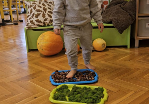 „Dotykam, słucham, czuję – jesień”