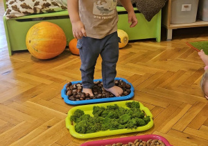 „Dotykam, słucham, czuję – jesień”