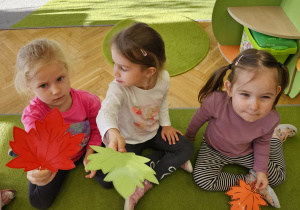 Code Week w maluszkach- grupa I