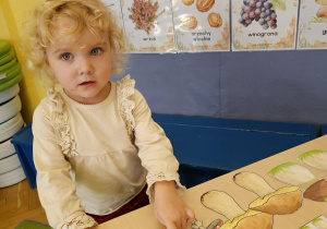 Code Week w maluszkach- grupa I