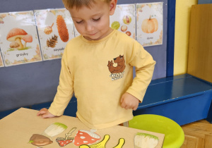 Code Week w maluszkach- grupa I