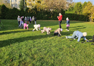 „Kijki w małych rączkach” – Nordic Walking dla przedszkolaków – gr. IV