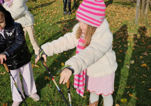 „Kijki w małych rączkach” – Nordic Walking dla przedszkolaków – gr. IV