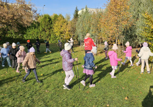 „Kijki w małych rączkach” – Nordic Walking dla przedszkolaków – gr. IV