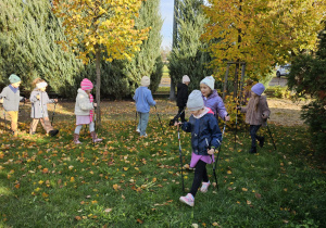 „Kijki w małych rączkach” – Nordic Walking dla przedszkolaków – gr. IV