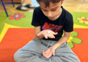 zajęcia koleżeńskie z mindfulness