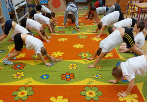 Dietetyk i Trener Personalny w grupie V