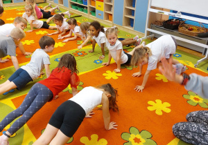 Dietetyk i Trener Personalny w grupie V