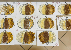 Dzień Dyni - zajęcia koleżeńskie w gr. XI i XII