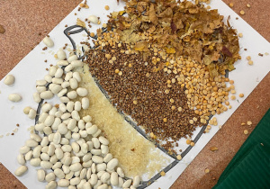 Dzień Dyni - zajęcia koleżeńskie w gr. XI i XII