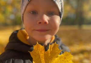 Jesień + przedszkolaki = sesja fotograficzna w gr. XI :)