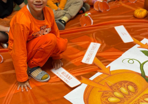 Dzień Dyni w grupie VI