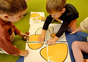 „Grzybowa przygoda” w grupie I