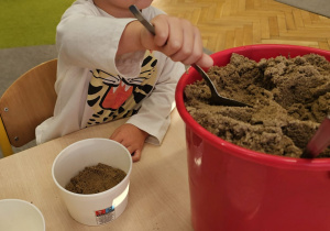 „Grzybowa przygoda” w grupie I