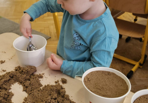 „Grzybowa przygoda” w grupie I