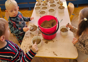 „Grzybowa przygoda” w grupie I