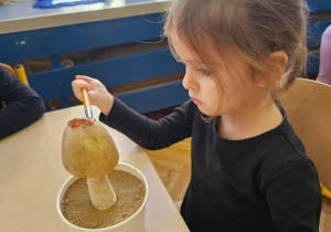 „Grzybowa przygoda” w grupie I