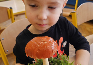 „Grzybowa przygoda” w grupie I