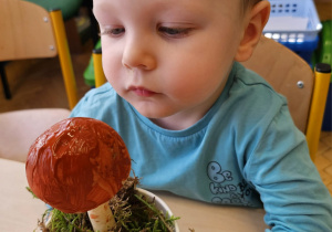 „Grzybowa przygoda” w grupie I