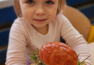 „Grzybowa przygoda” w grupie I