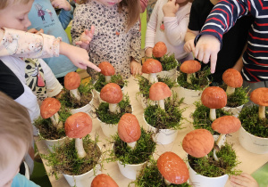 „Grzybowa przygoda” w grupie I