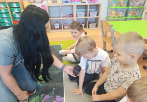 Poznajemy tajniki zawodu fotografa, czyli wizyta mamy Tymoteuszka i jesienna sesja fotograficzna w gr. XII