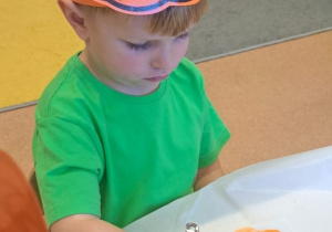 "Dzień Dyni" w grupie IX