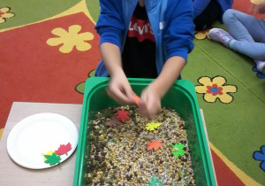 „Jesienna innowacja pedagogiczna” – grupa V – cz. II