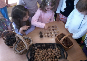 „Jesienna innowacja pedagogiczna” – grupa V – cz. II