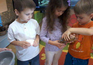 „Jesienna innowacja pedagogiczna” – grupa V – cz. II