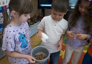 „Jesienna innowacja pedagogiczna” – grupa V – cz. II