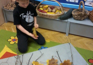 „Jesienna innowacja pedagogiczna” – grupa V – cz. II