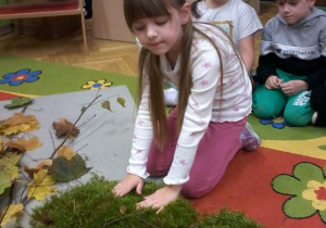 „Jesienna innowacja pedagogiczna” – grupa V – cz. II