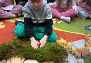 „Jesienna innowacja pedagogiczna” – grupa V – cz. II