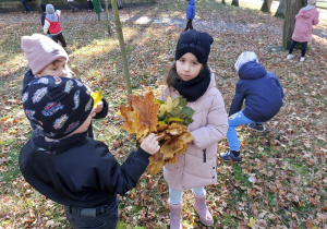 „Jesienna innowacja pedagogiczna” – grupa V – cz. II