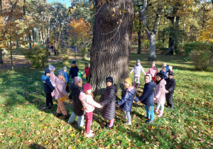 „Jesienna innowacja pedagogiczna” – grupa V – cz. II