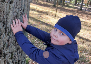 „Jesienna innowacja pedagogiczna” – grupa V – cz. II