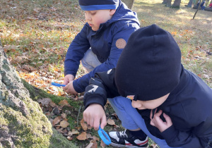 „Jesienna innowacja pedagogiczna” – grupa V – cz. II