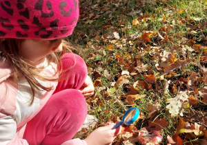 „Jesienna innowacja pedagogiczna” – grupa V – cz. II