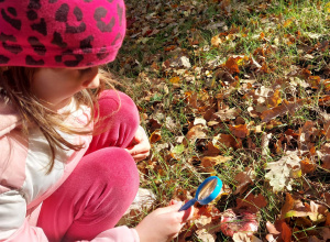 „Jesienna innowacja pedagogiczna” – grupa V – cz. II