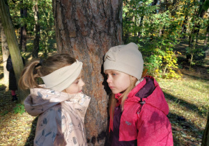 „Jesienna innowacja pedagogiczna” – grupa V – cz. II