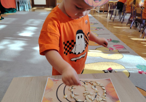 Zajęcia koleżeńskie "Na dyniowej grządce" w grupie II i VII