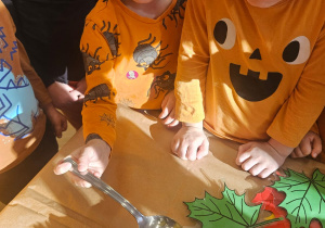 Zajęcia koleżeńskie "Na dyniowej grządce" w grupie II i VII