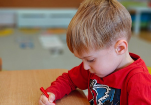 „Mała i duża Ojczyzna”- projekt edukacyjny i zajęcia w przedszkolnym Mini Muzeum „Na szlaku historii”- gr. II