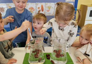 Projekt „Sensoryczna jesień” w grupie I maluszków