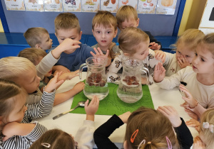 Projekt „Sensoryczna jesień” w grupie I maluszków