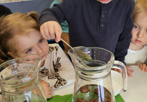 Projekt „Sensoryczna jesień” w grupie I maluszków