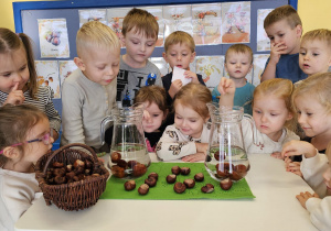 Projekt „Sensoryczna jesień” w grupie I maluszków