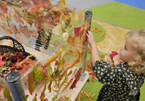 Projekt „Sensoryczna jesień” w grupie I maluszków